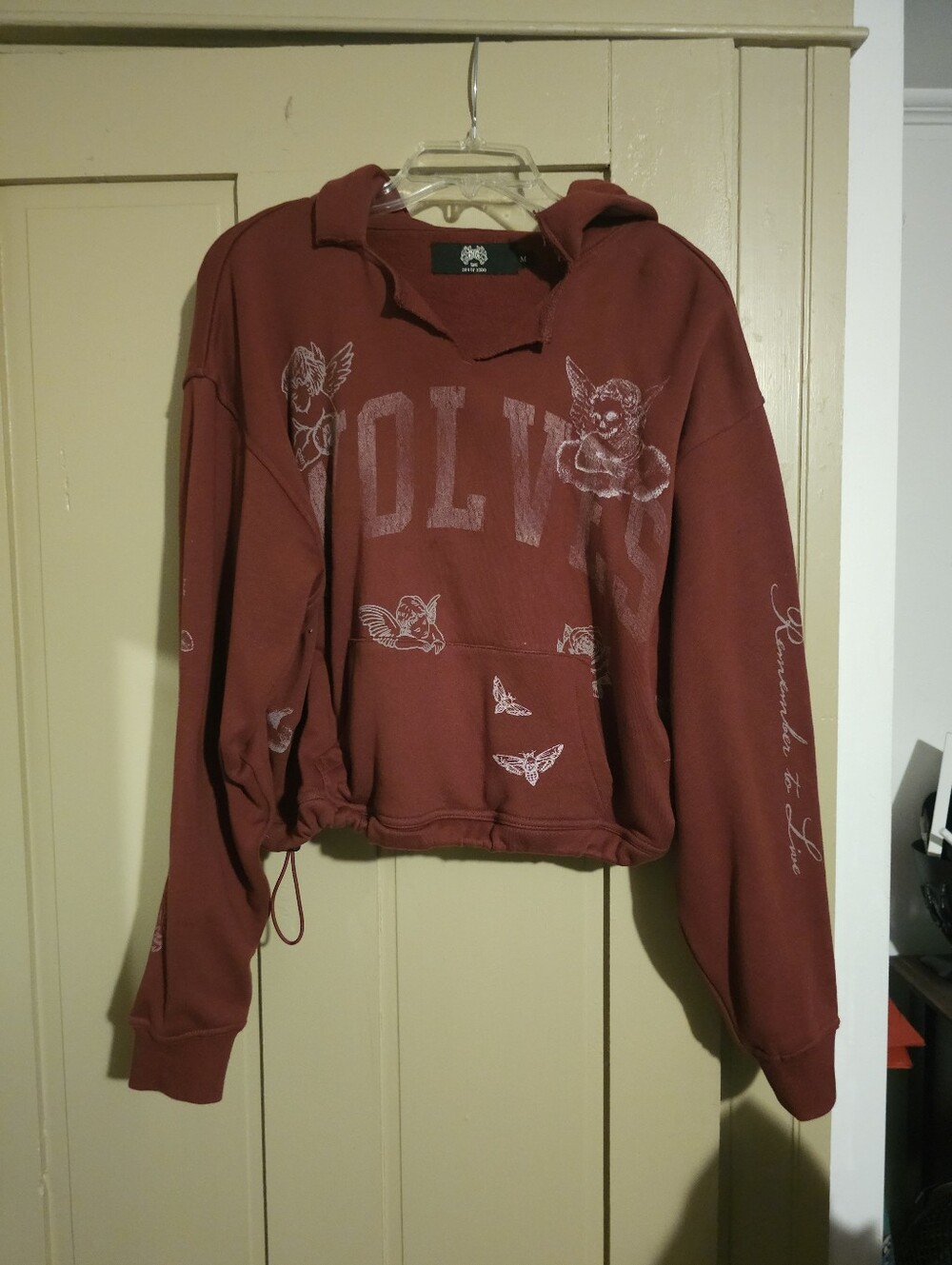 Darc Sport Fallen Cherub Red Cropped Hoodie